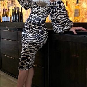 Chic Long Sleeve Animal Print Dress